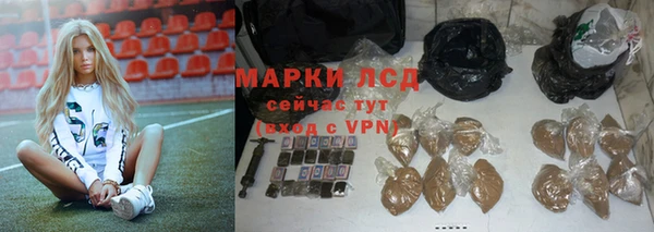 стафф Волоколамск