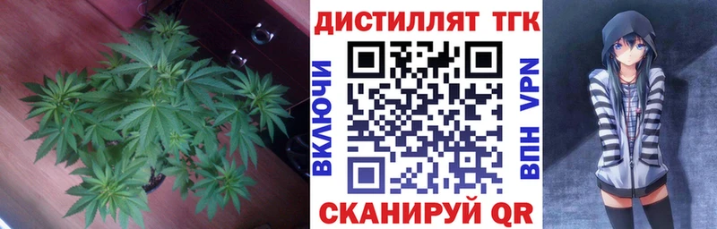 закладки  omg сайт  Дистиллят ТГК THC oil  Иваново 