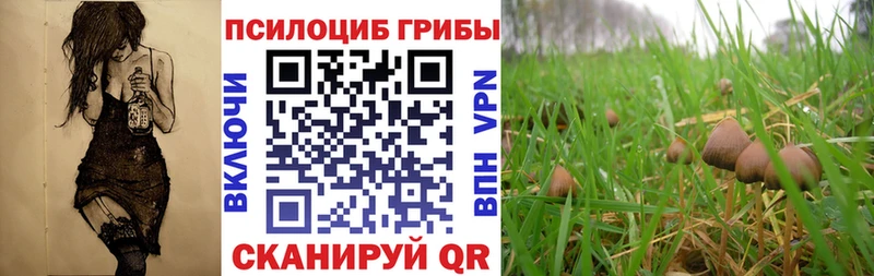 купить наркотики цена hydra tor Галлюциногенные грибы MAGIC MUSHROOMS Иваново